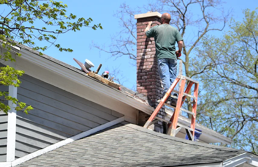 Chimney & Fireplace Inspections Services in Waxahachie, TX